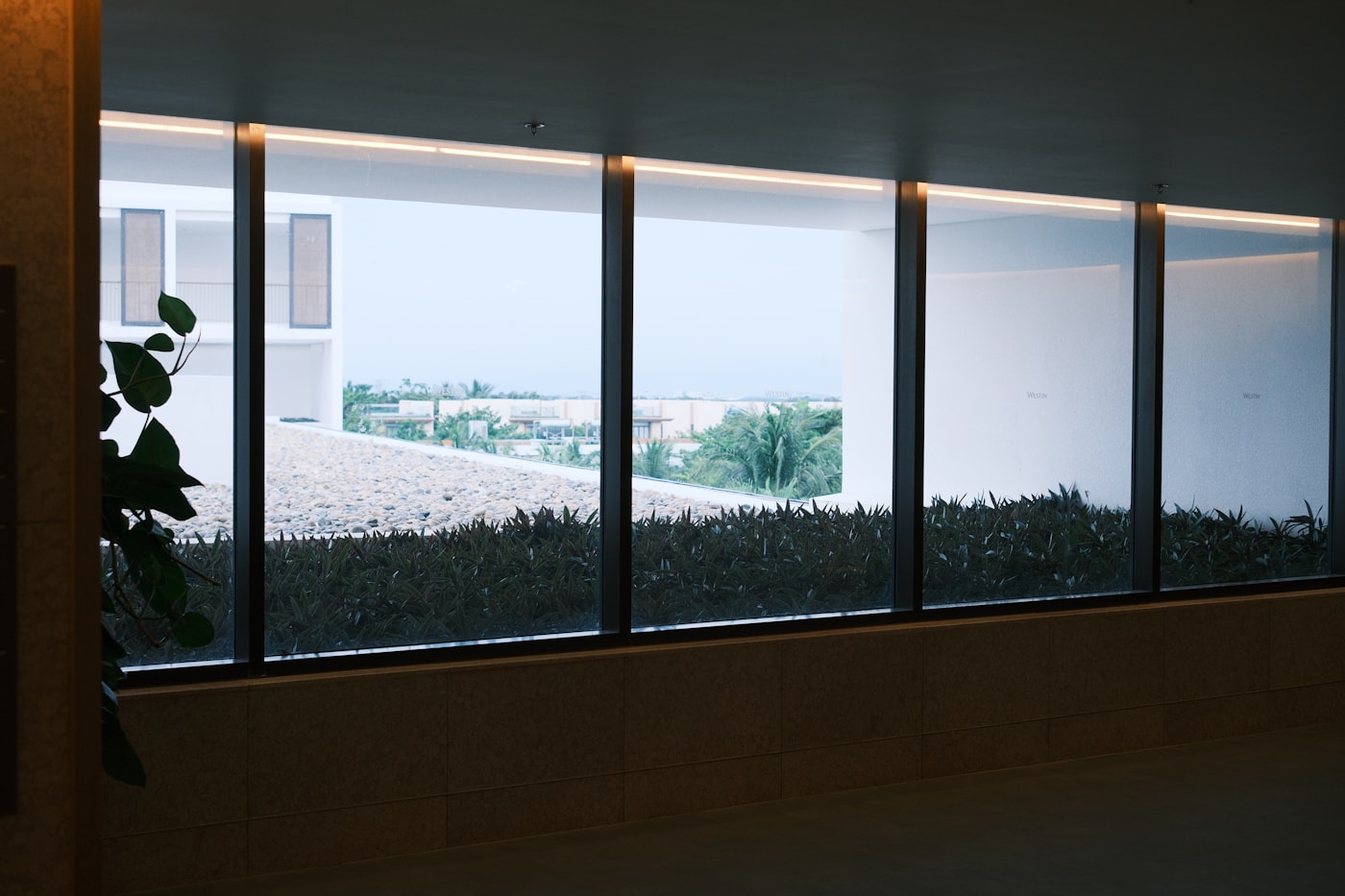 Modern windows with a clean privacy treatment