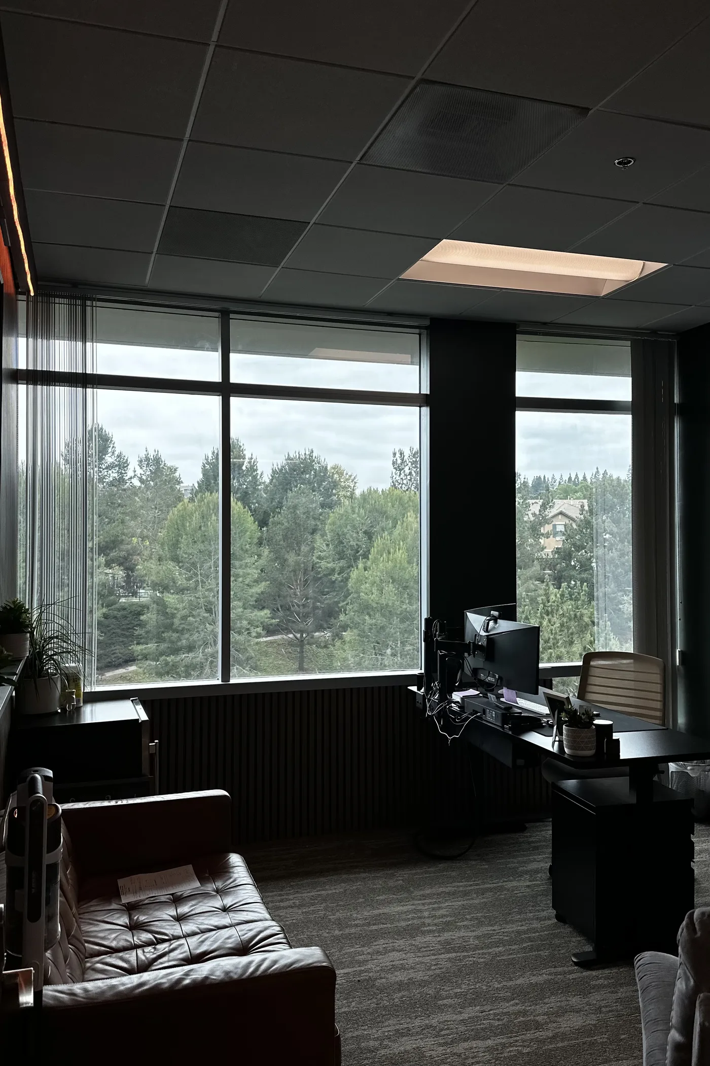 Commercial office glazing photographed from inside a real project