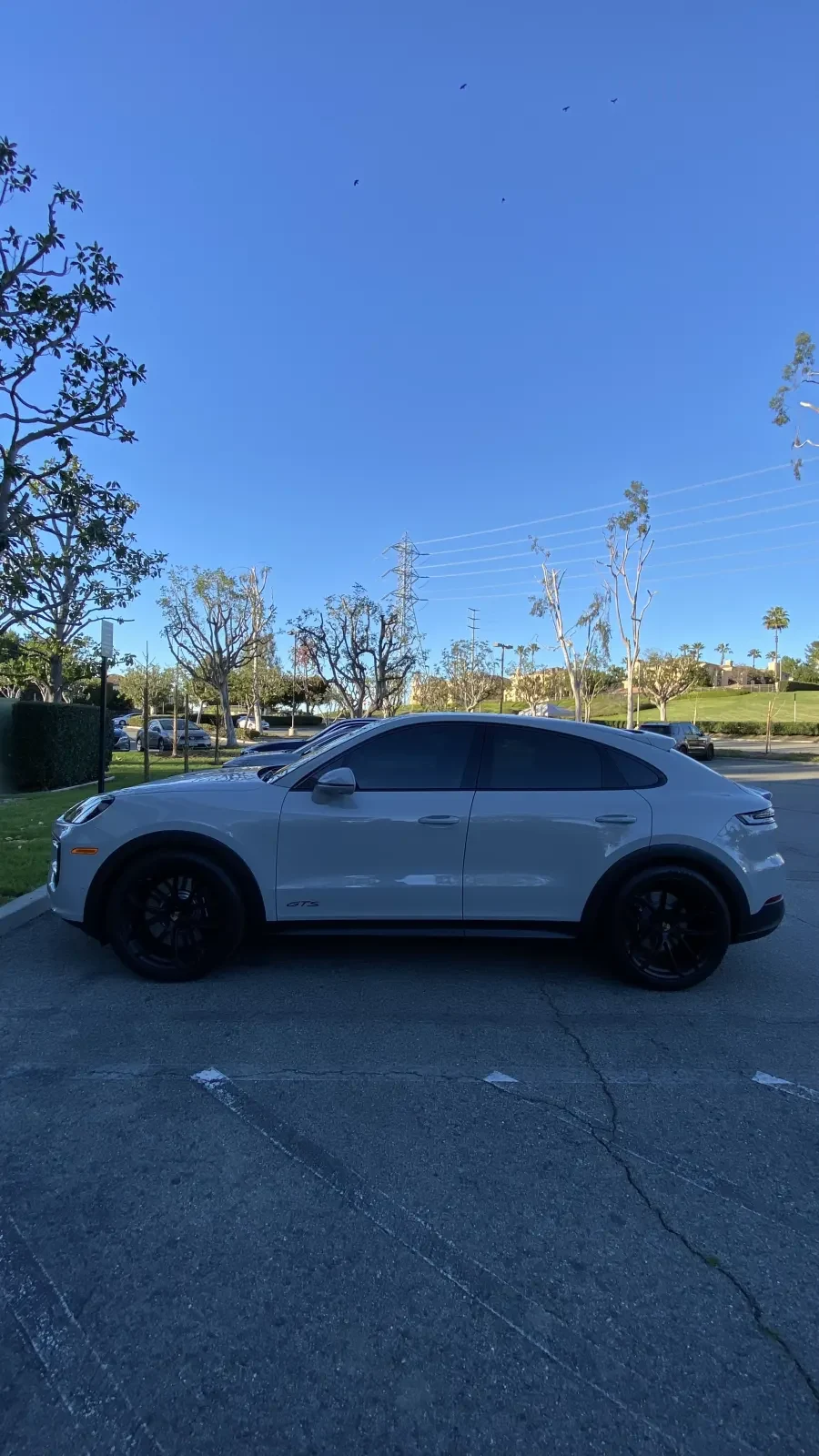 Porsche Cayenne Coupe window tint